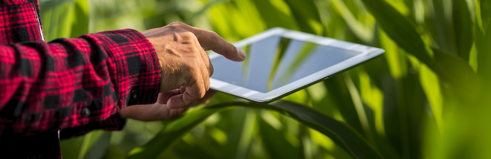 C0MPLÉX1-SEO-For-Agriculture C0MPLÉX1-SEO-For-Agriculture